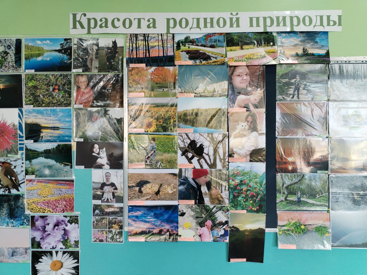 В рамках экологического месячника в МБОУ «Средняя общеобразовательная Ивановская школа» проходит фотовыставка «Красота родной природы».